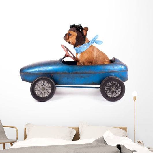 Hund Mit Rennfahrer Kappe Wall Decal