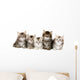 Siberian Forrest kittens Wall Decal