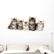 Siberian Forrest kittens Wall Decal