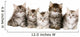 Siberian Forrest kittens Wall Decal