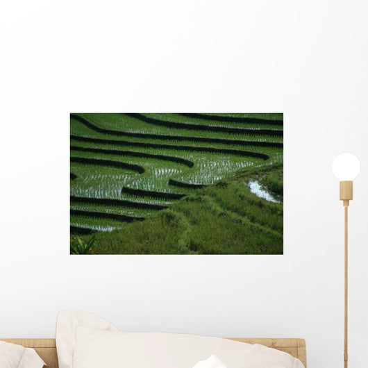 Rizieres Wall Decal
