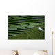 Rizieres Wall Decal