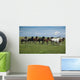 Horses Running / blue sky and green grass Wall Mural