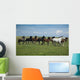Horses Running / blue sky and green grass Wall Mural