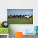 Horses Running / blue sky and green grass Wall Mural