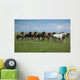 Horses Running / blue sky and green grass Wall Mural