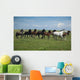 Horses Running / blue sky and green grass Wall Mural