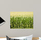 Cornfield Wall Mural