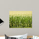 Cornfield Wall Mural