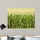 Cornfield Wall Mural