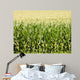 Cornfield Wall Mural