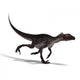 Dinosaur Utahraptor Wall Decal