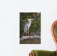 Adult Gray Heron Waiting for Fish Wall Mural