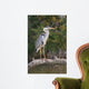 Adult Gray Heron Waiting for Fish Wall Mural