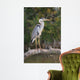 Adult Gray Heron Waiting for Fish Wall Mural