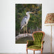 Adult Gray Heron Waiting for Fish Wall Mural