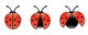 Three Lady Bugs Wall Stickers