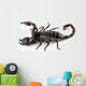 Scorpion Wall Decal