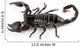 Scorpion Wall Decal