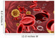 Bloodstream Wall Mural