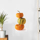 three colorful pumpkins Wall Decal