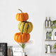 three colorful pumpkins Wall Decal