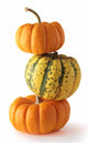 three colorful pumpkins Wall Decal
