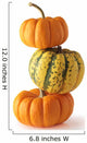 three colorful pumpkins Wall Decal