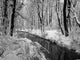 Eisbach Snow Wall Decal