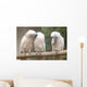 Parrot Wall Mural