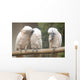 Parrot Wall Mural
