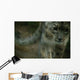 A Snow Leopard Wall Mural