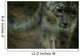 A Snow Leopard Wall Mural