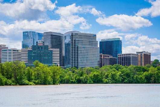 Rosslyn Skyline Arlington from Wall Decal