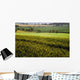 Farmland with Cereal Crops Wall Decal Design 2