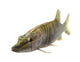 Pike Wall Decal