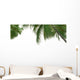 Palm Solo Wall Decal