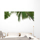 Palm Solo Wall Decal
