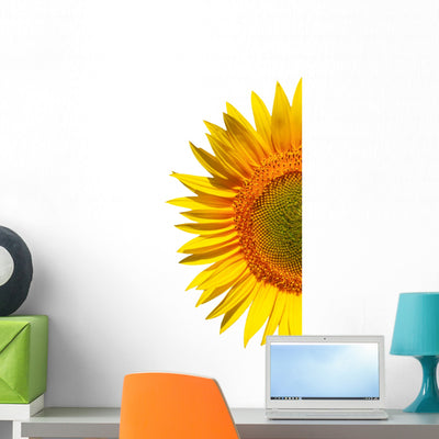Sunflower White Wall Decal shown on a wall