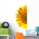 Sunflower on a white background Wall Decal
