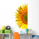 Sunflower on a white background Wall Decal