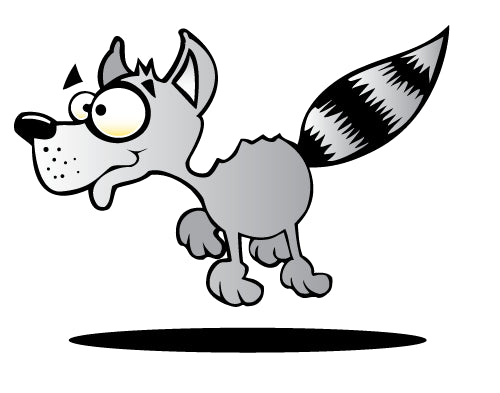 Cartoon Racoon Wall Decal