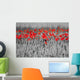 Red Poppies Black White Wall Mural