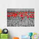 Red Poppies Black White Wall Mural