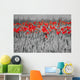 Red Poppies Black White Wall Mural