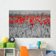 Red Poppies Black White Wall Mural