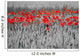 Red Poppies Black White Wall Mural