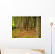 Forest Wall Mural