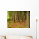 Forest Wall Mural