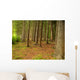 Forest Wall Mural